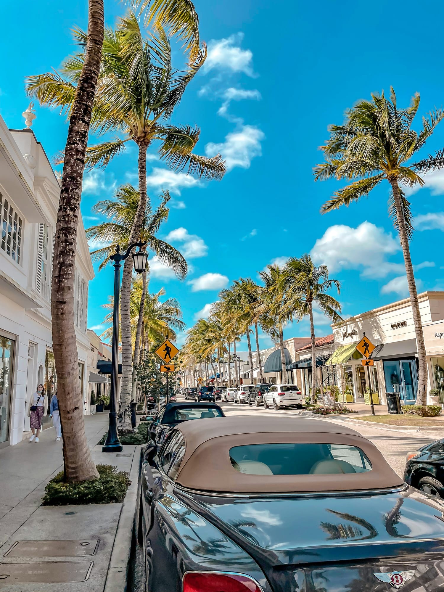 Palms and storefronts along Worth Avenue in Palm Beach
